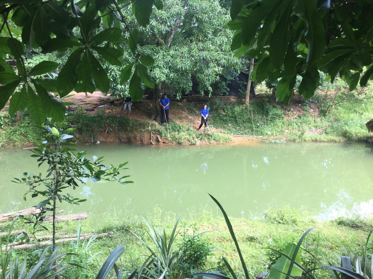 Phong Nha Rice Field Homestay Eksteriør billede