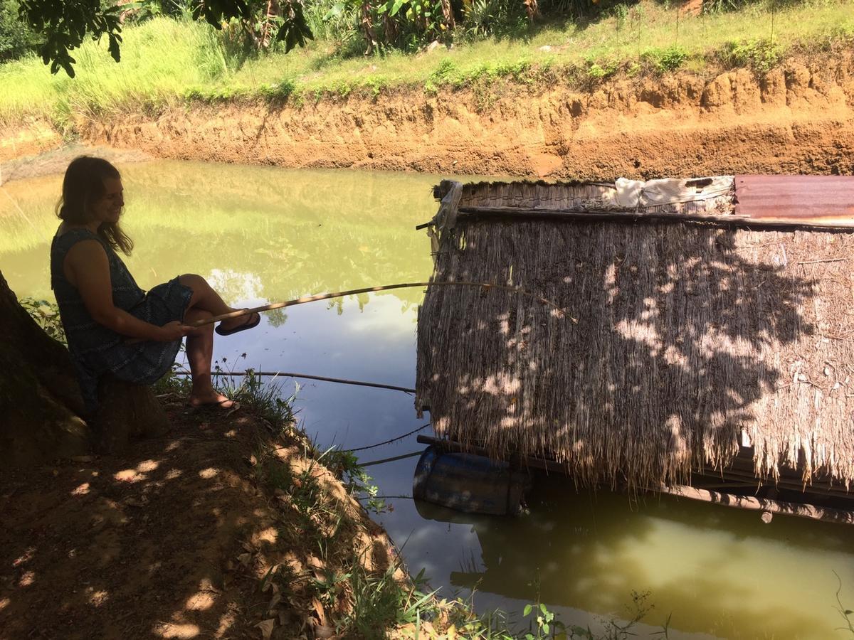 Phong Nha Rice Field Homestay Eksteriør billede