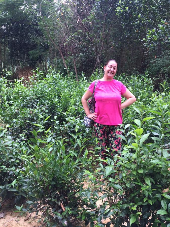 Phong Nha Rice Field Homestay Eksteriør billede