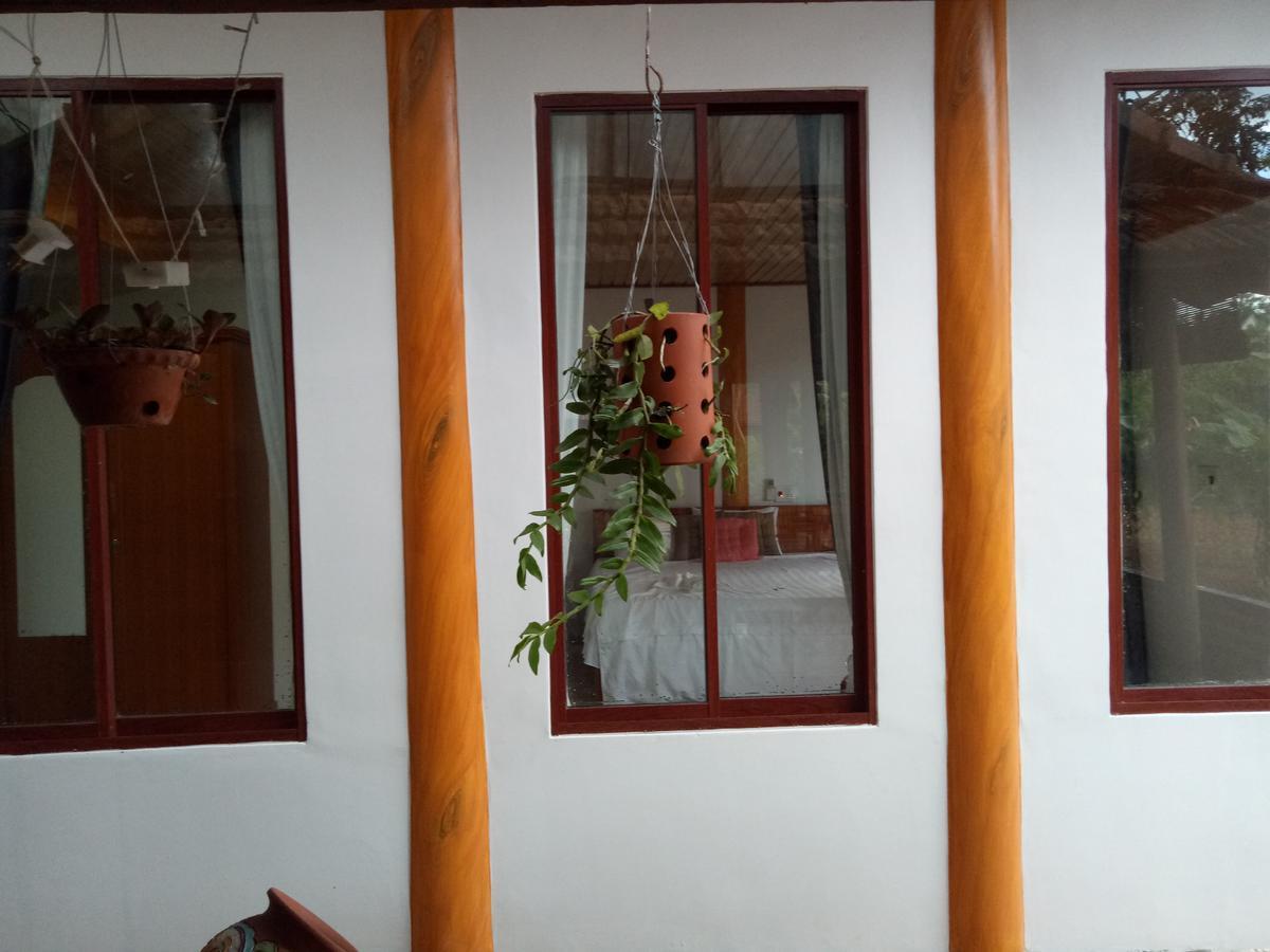 Phong Nha Rice Field Homestay Eksteriør billede