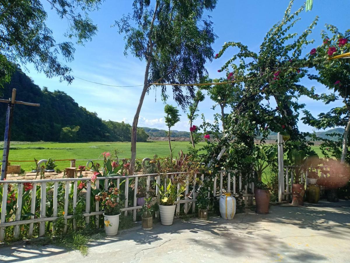 Phong Nha Rice Field Homestay Eksteriør billede